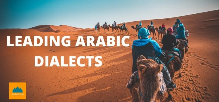leading arabic dialects