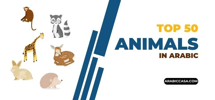 animal in arabic