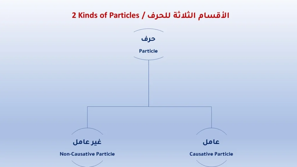 kinds-of-particles