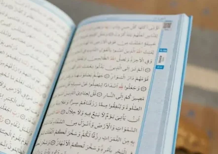 tajweed quran